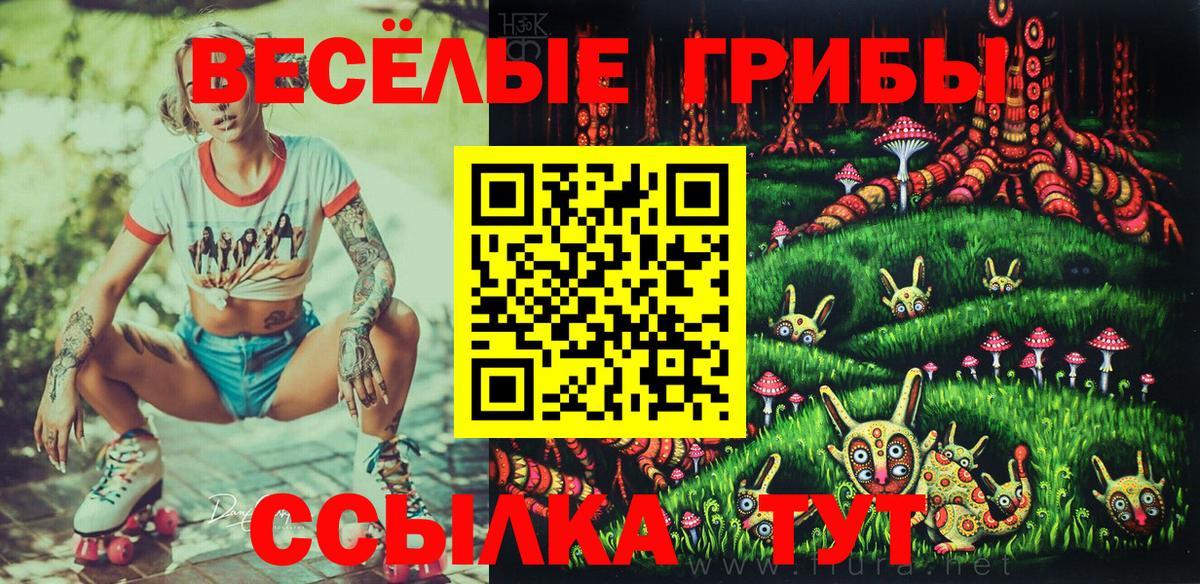 Псилоцибиновые грибы Psilocybine cubensis  Вход с VPN  Кушва 